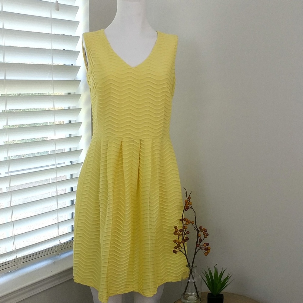 Enfocus Studio Casual Fit n Flare Dress. E69